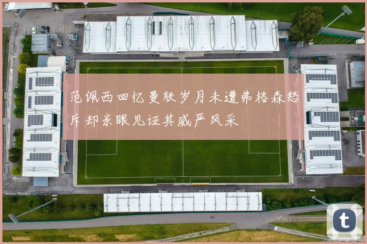 范佩西回忆曼联岁月未遭弗格森怒斥却亲眼见证其威严风采